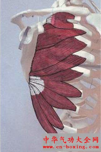 ǰ�⼡��ô��ͼ�⡢ǰ�⼡������������