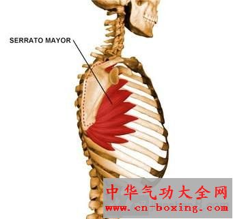 ǰ�⼡��ô��ͼ�⡢ǰ�⼡������������