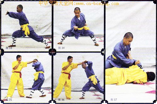 ����ȭ������ʮ��ʽ���ϣ�-����