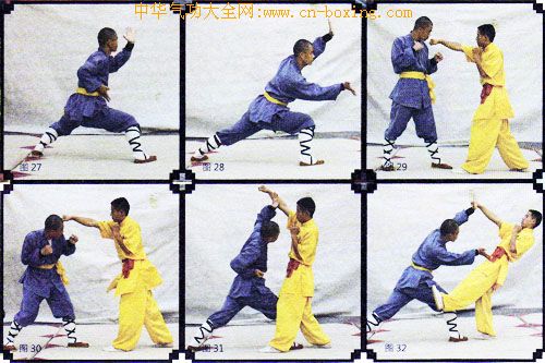 ����ȭ������ʮ��ʽ���ϣ�-����