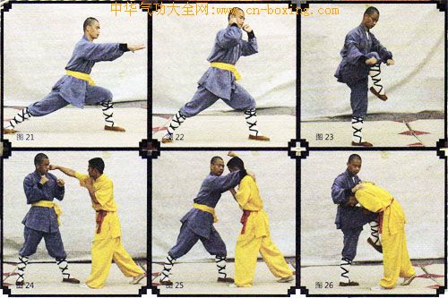 ����ȭ������ʮ��ʽ���ϣ�-����