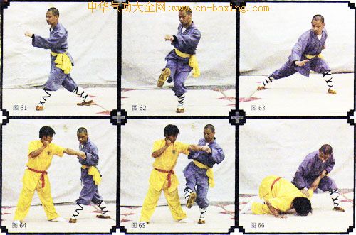 ����ȭ������ʮ��ʽ���ϣ�-����