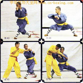 ����ȭ������ʮ��ʽ���ϣ�-����