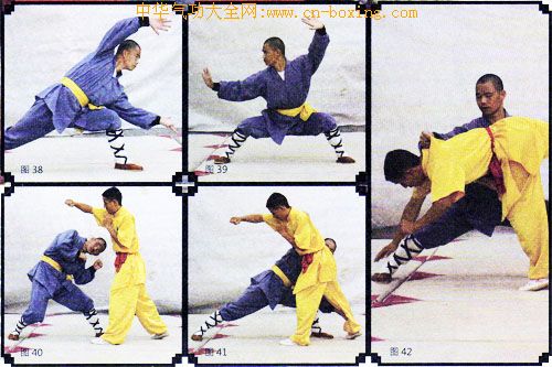 ����ȭ������ʮ��ʽ���ϣ�-����