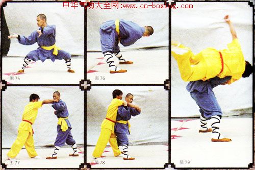 ����ȭ������ʮ��ʽ���У�-����