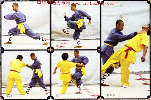 ����ȭ������ʮ��ʽ���У�-����