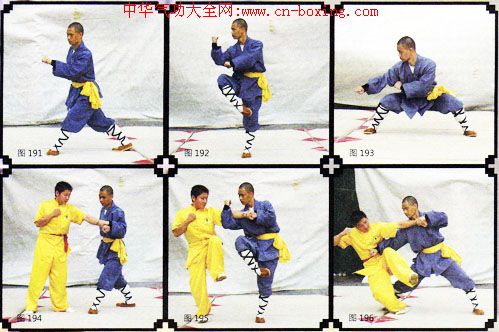 ����ȭ������ʮ��ʽ���£�-����