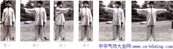 �䵱���ɽ���-������