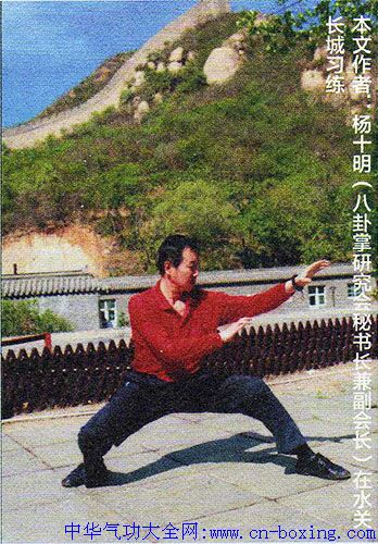 梁式八卦掌单操八式-杨十明