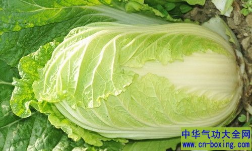 三类食物提高你的免疫力